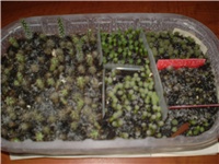 2ac3e963-Picture 6721.jpg